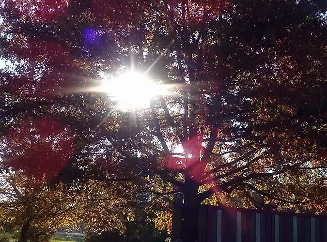 Hotell Berkel Palace Borculo